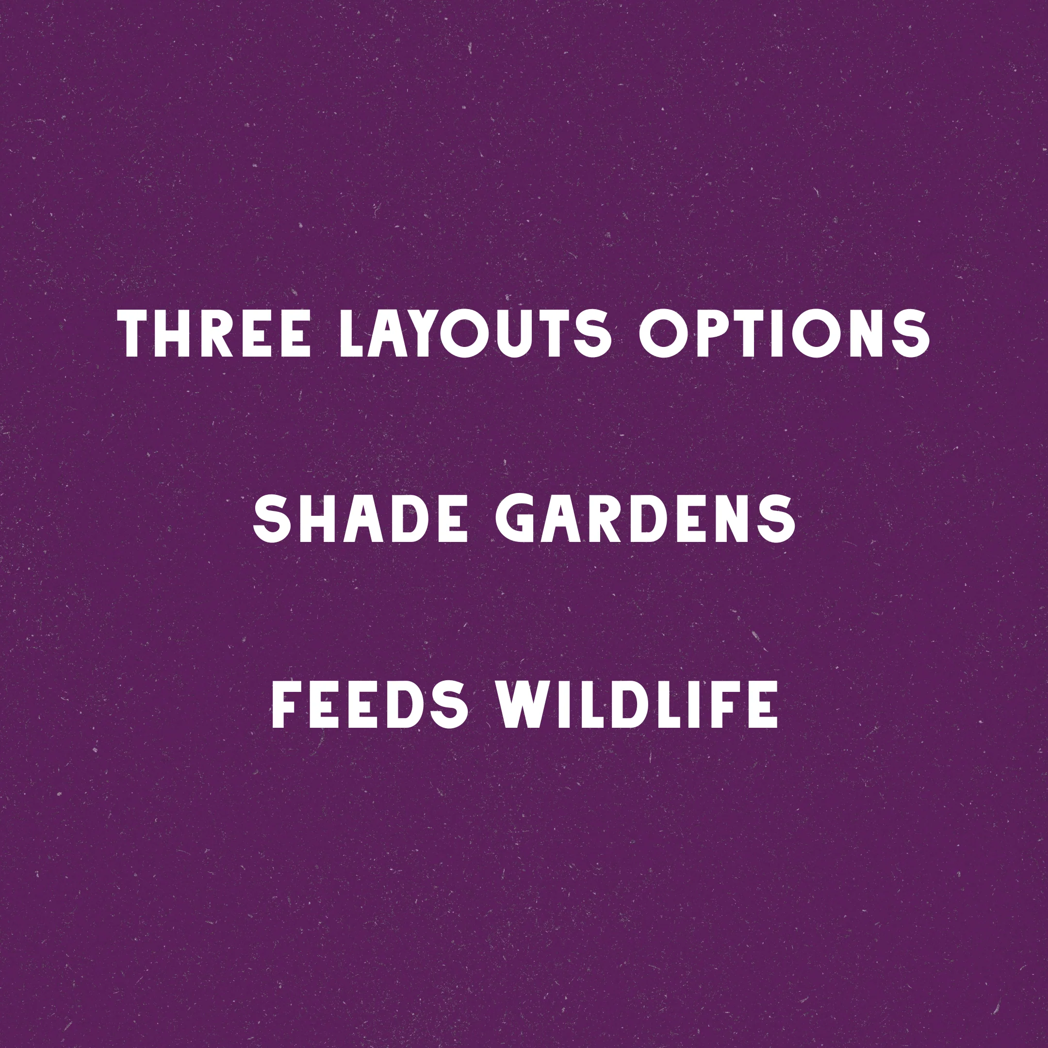 A Berry Shaded Wildscape Design - Image 4