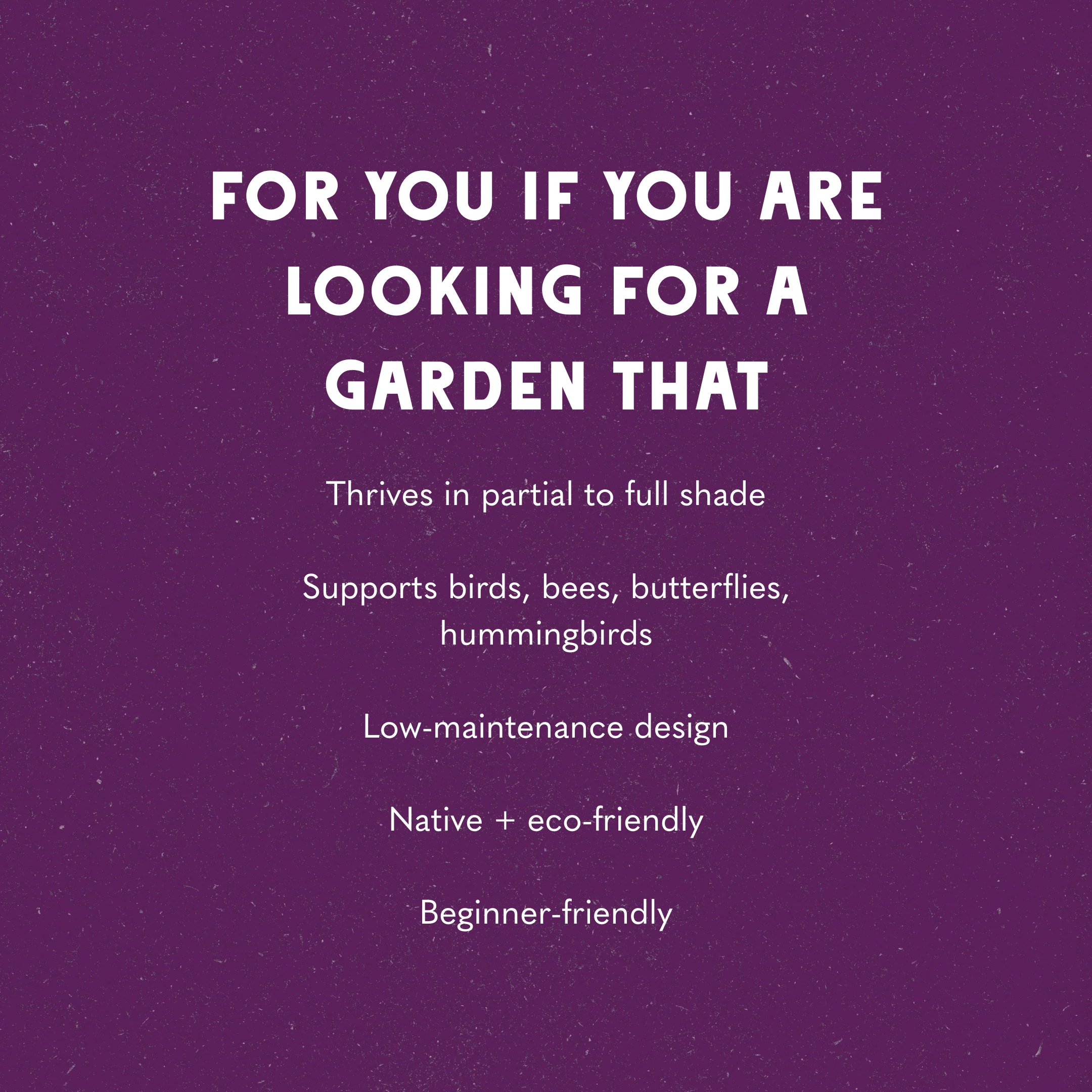 A Berry Shaded Wildscape Design - Image 5