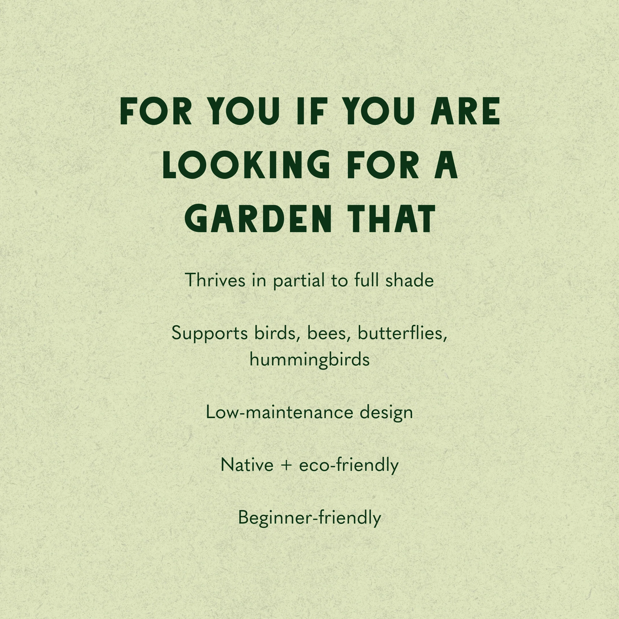 Classic Shade Garden Design - Image 5