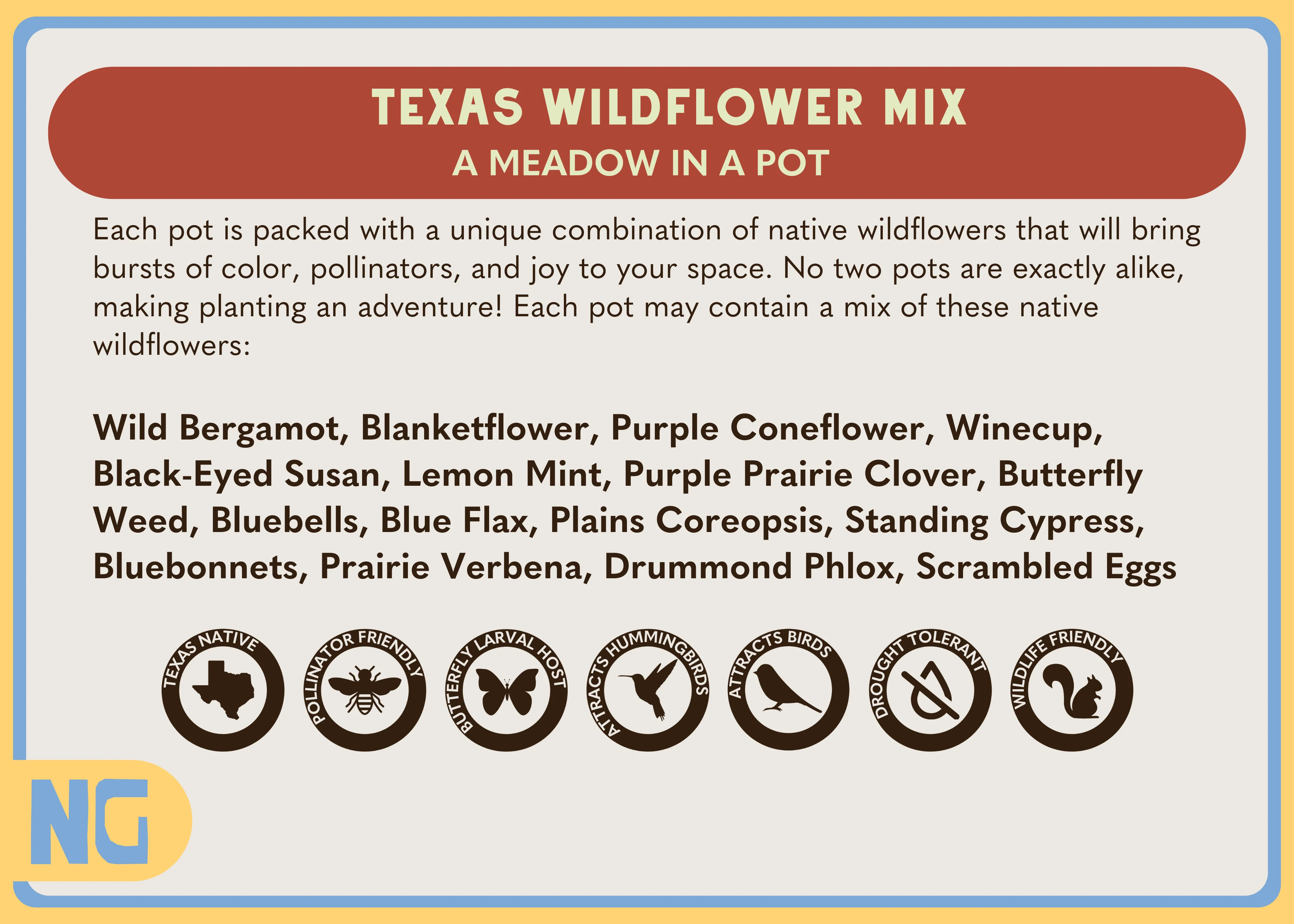Texas Wildflower Mix - A Meadow in a Pot! - Image 2