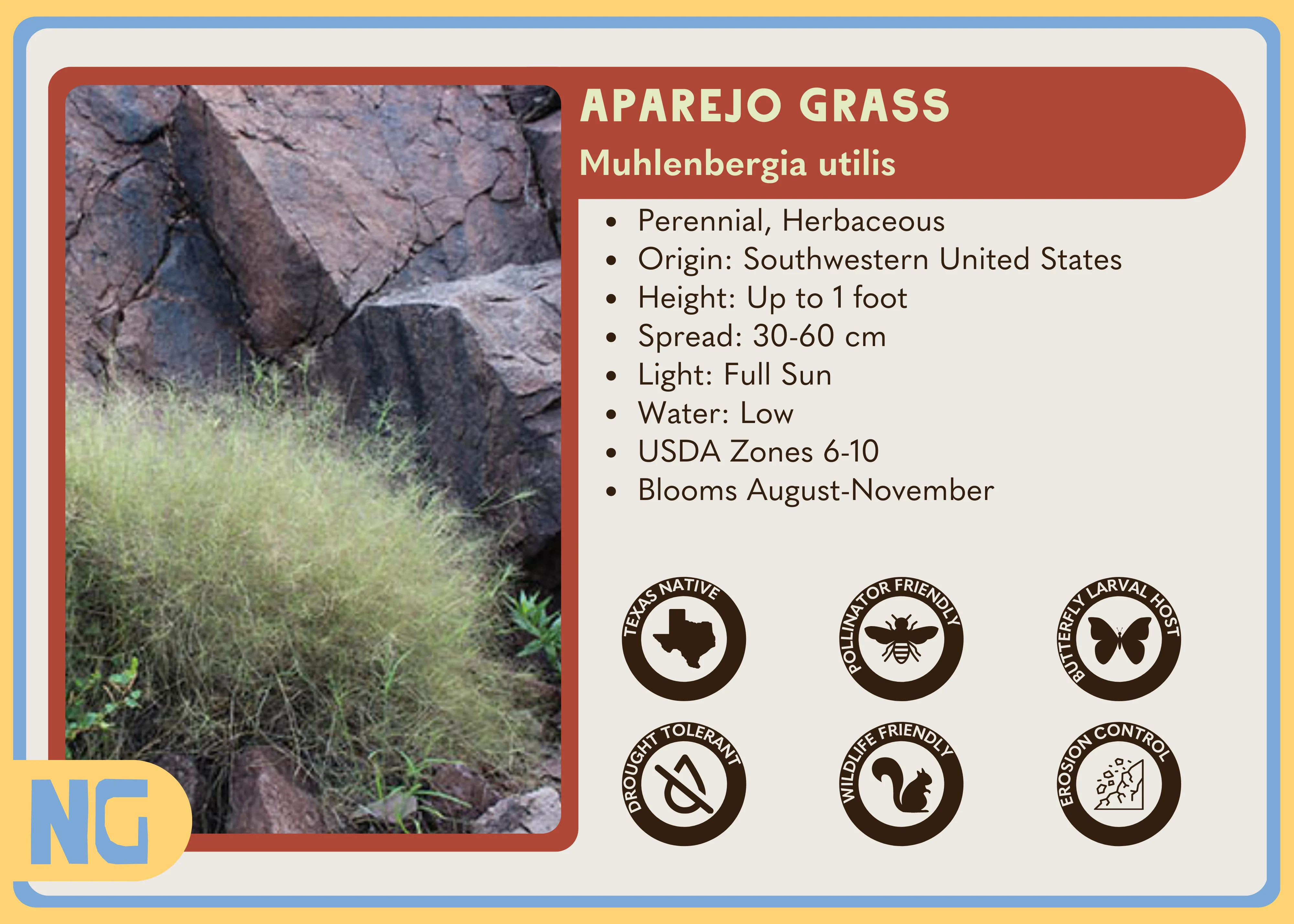 Aparejo Grass - Image 3