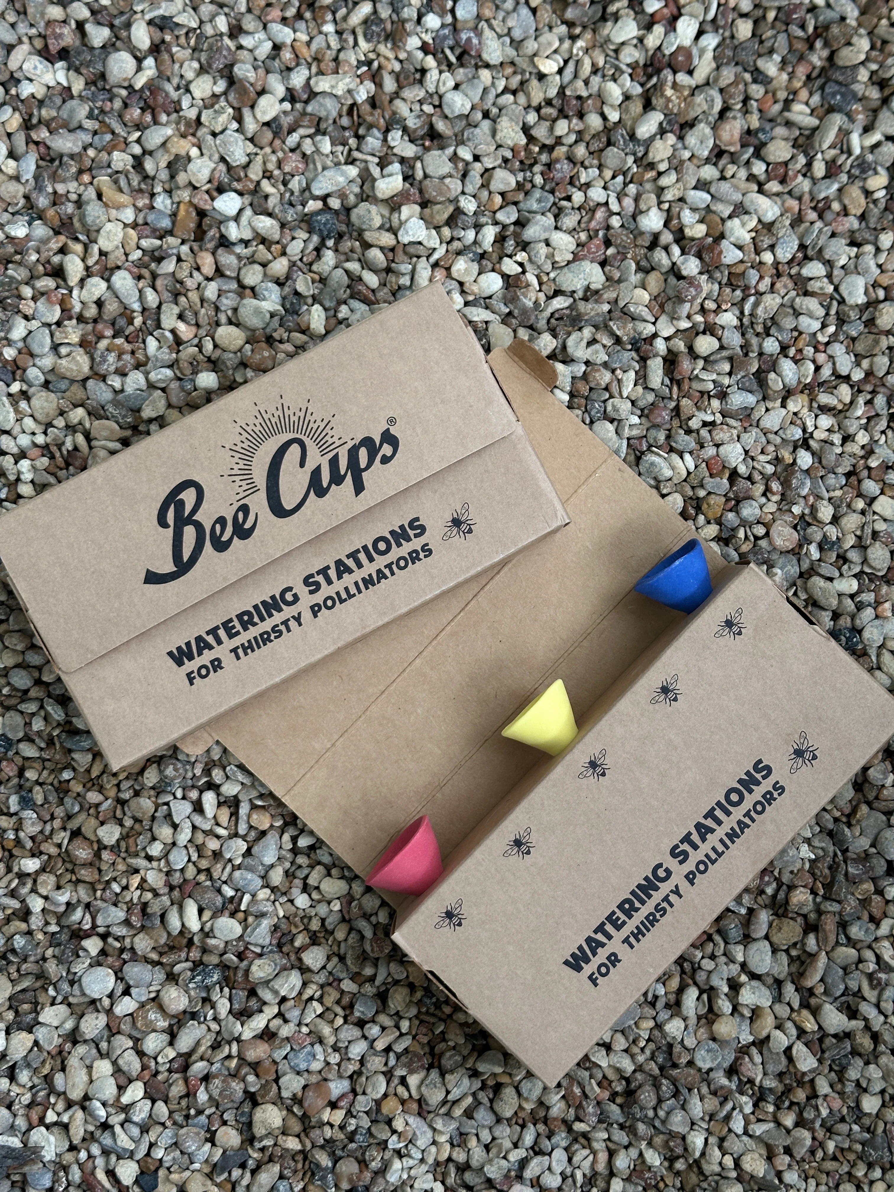 Bee Cups - Image 13