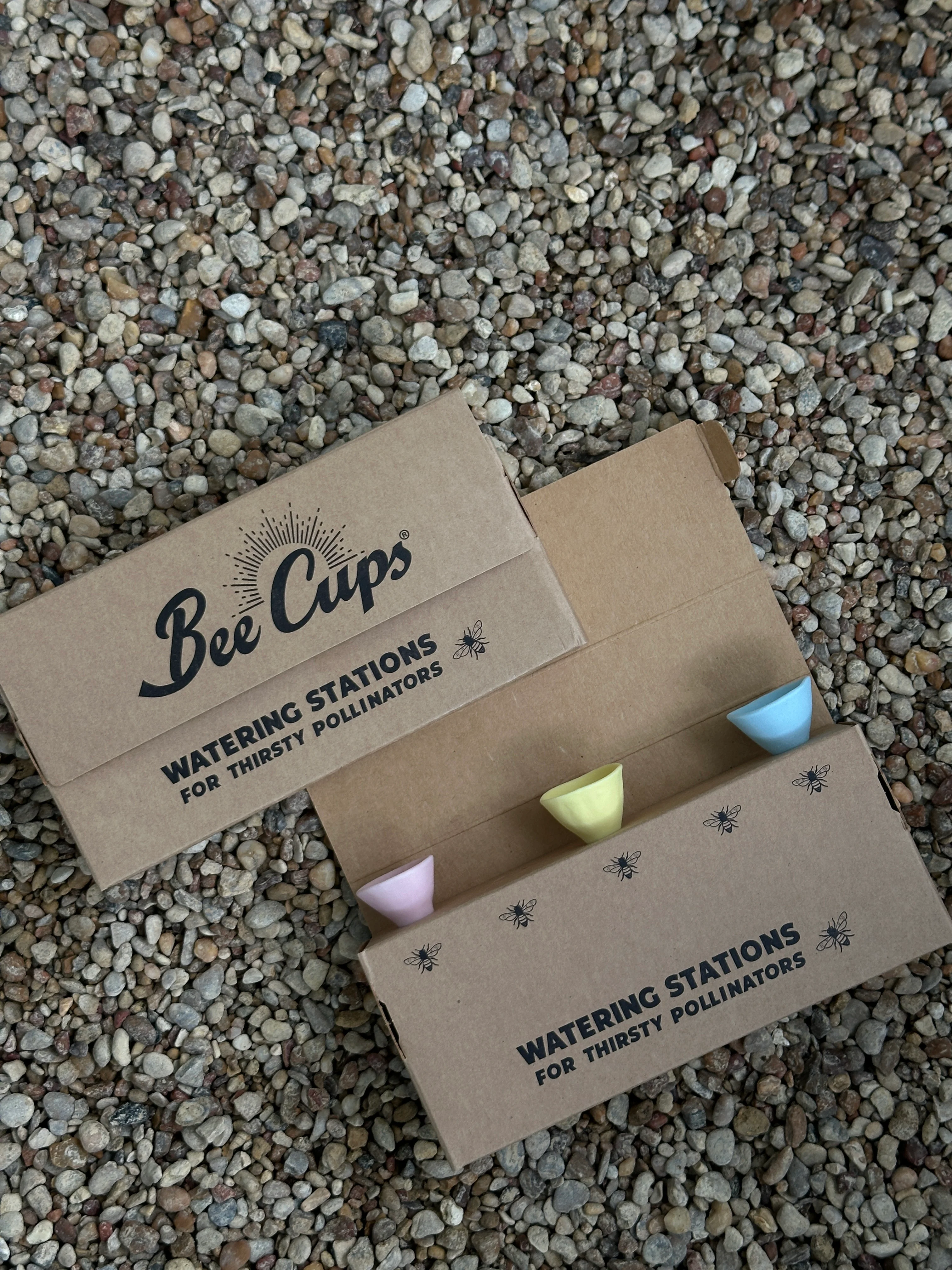Bee Cups - Image 15