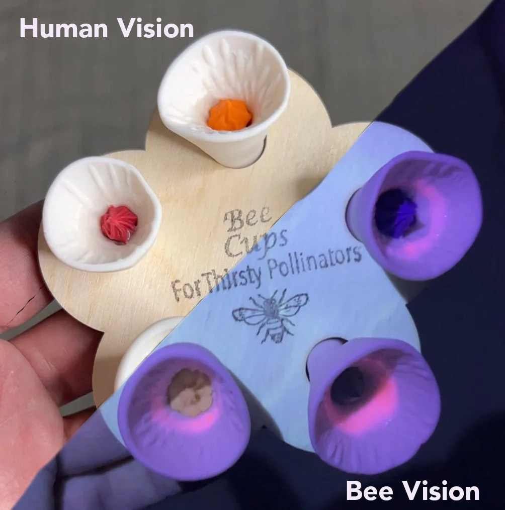 Bee Cups - Image 2