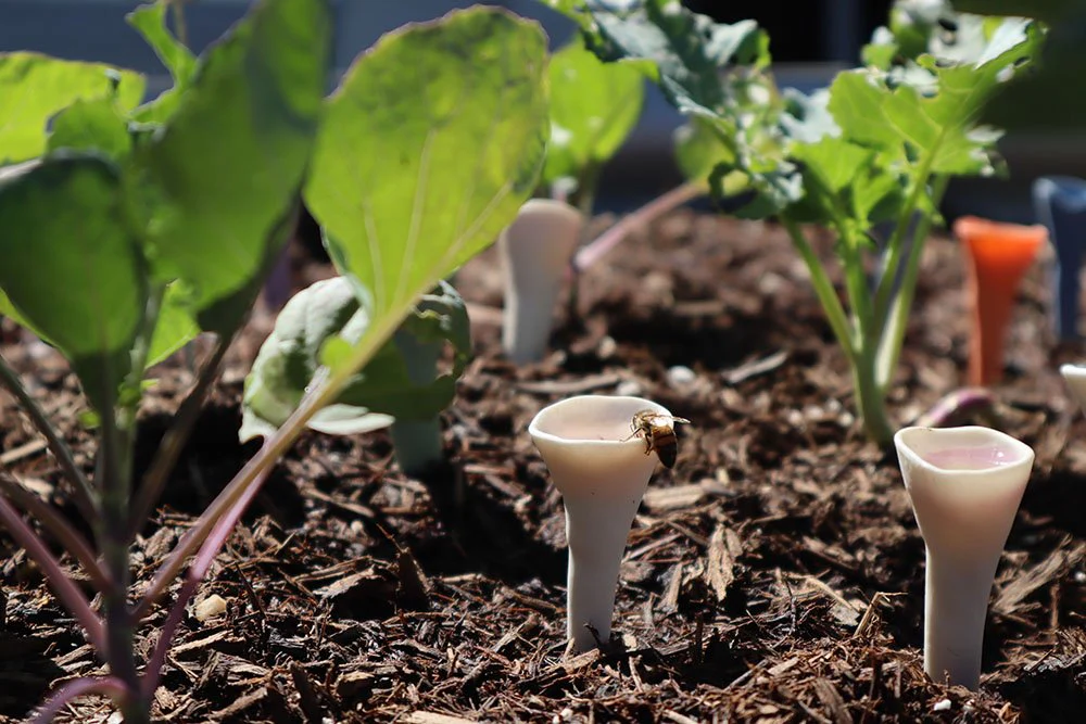 Bee Cups - Image 6