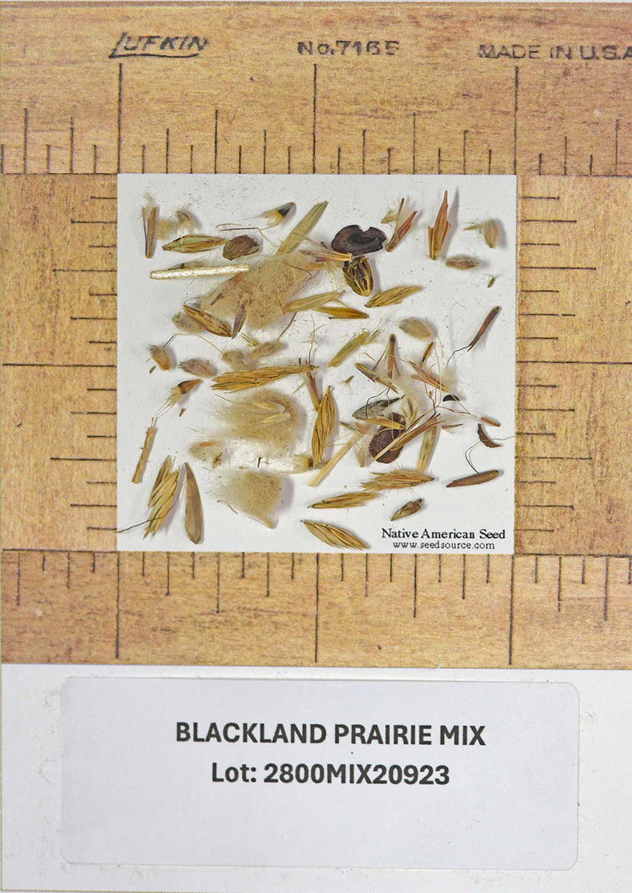 Blackland Prairie Mix - Image 10
