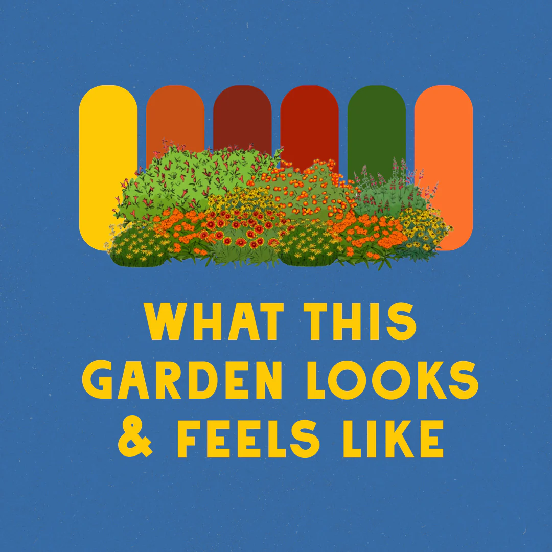 Blazing Blooms Garden Design - Image 3