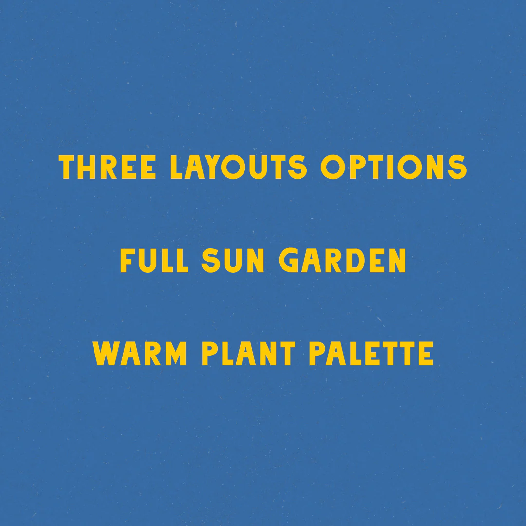 Blazing Blooms Garden Design - Image 4