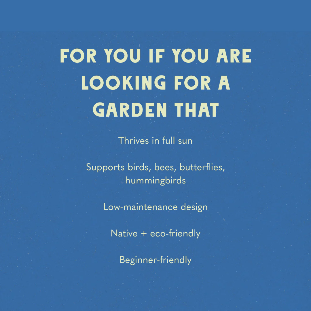 Blazing Blooms Garden Design - Image 5