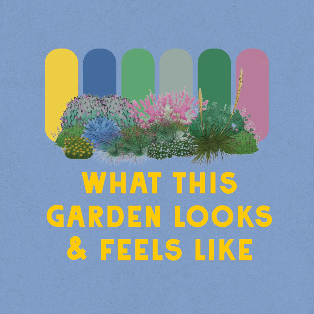 Deer Resistant - Full Sun Garden Design - Image 3