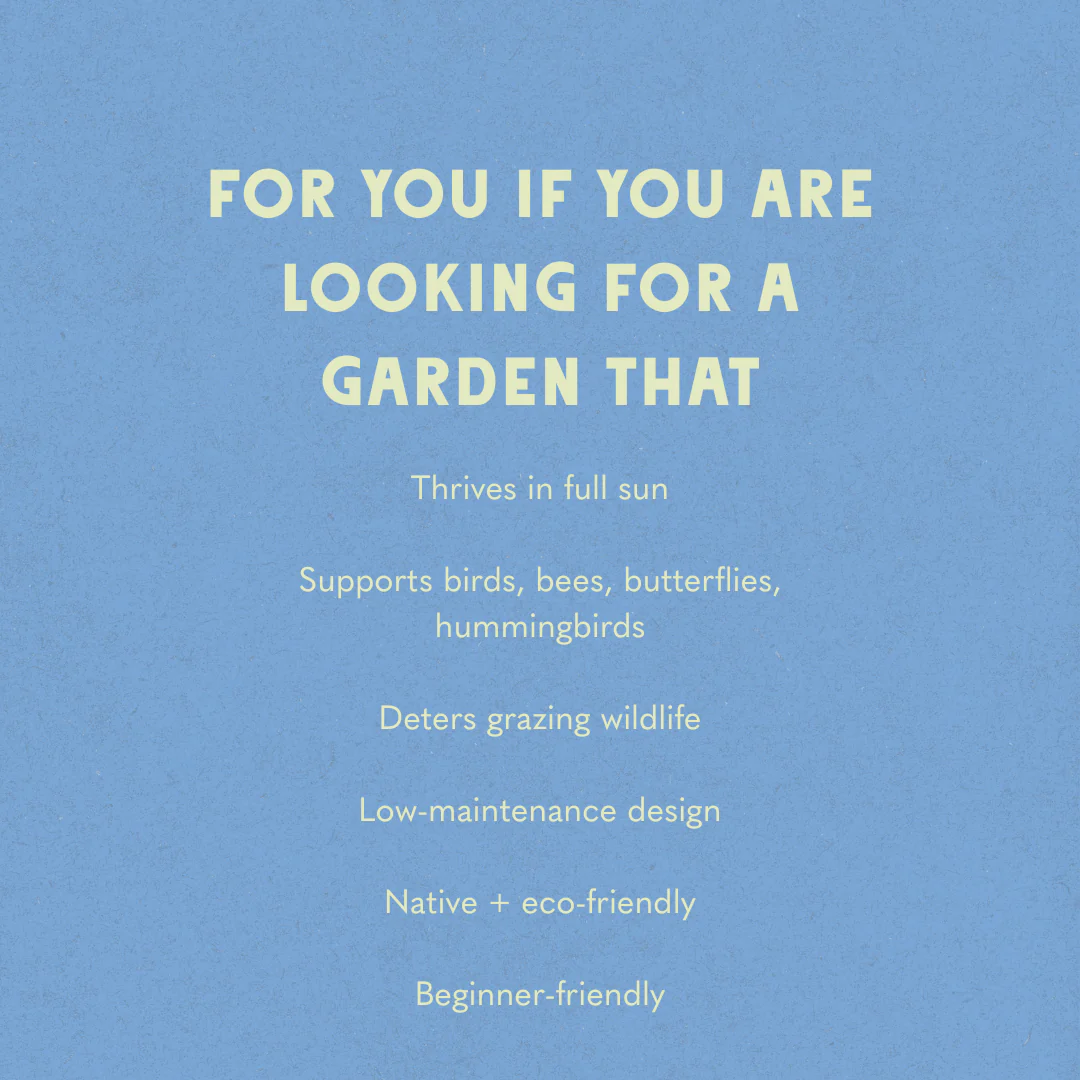 Deer Resistant - Full Sun Garden Design - Image 5