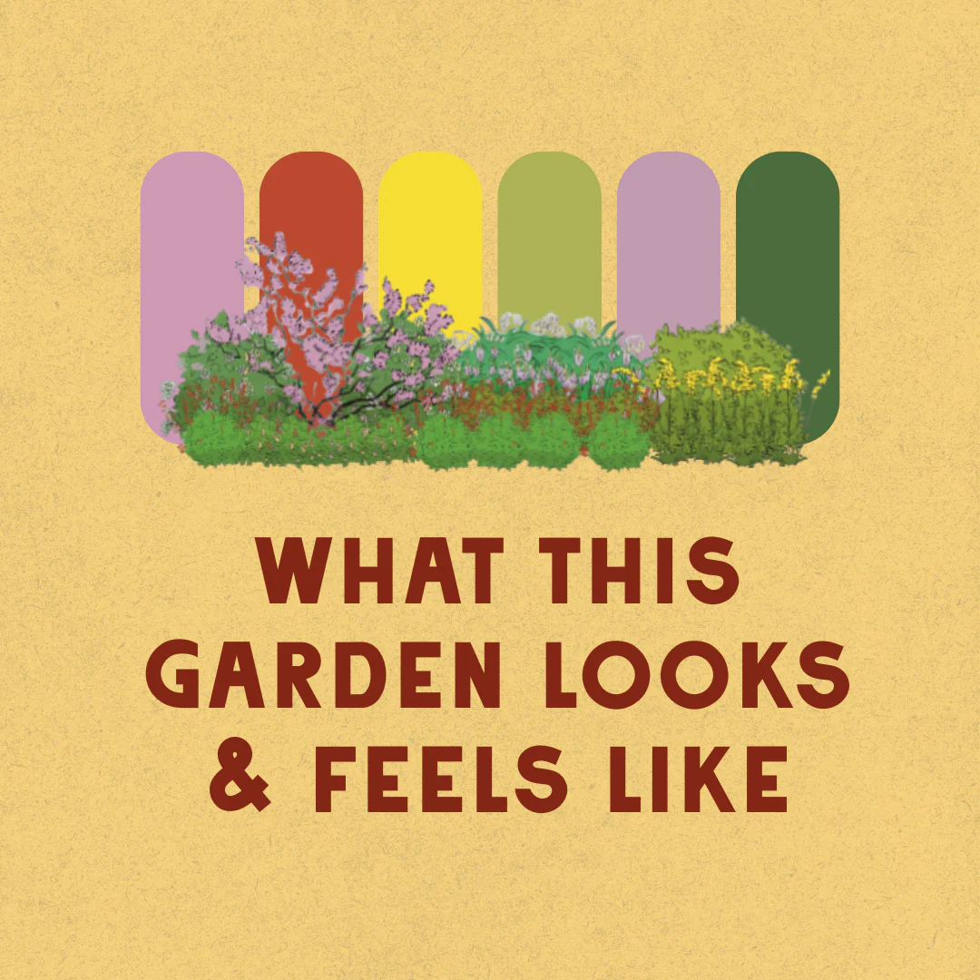 Deer Resistant - Shaded Garden Design - Image 3