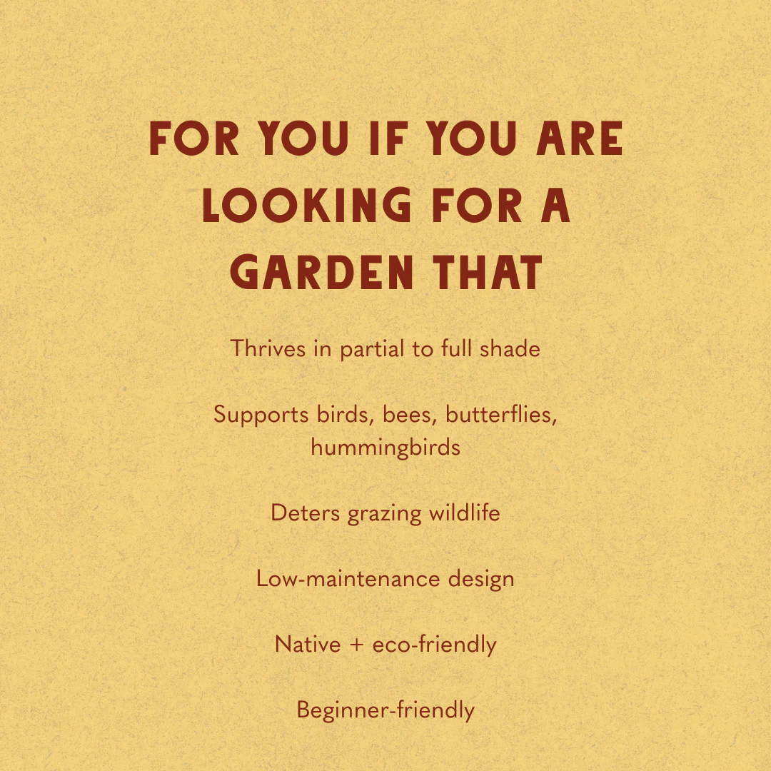 Deer Resistant - Shaded Garden Design - Image 5
