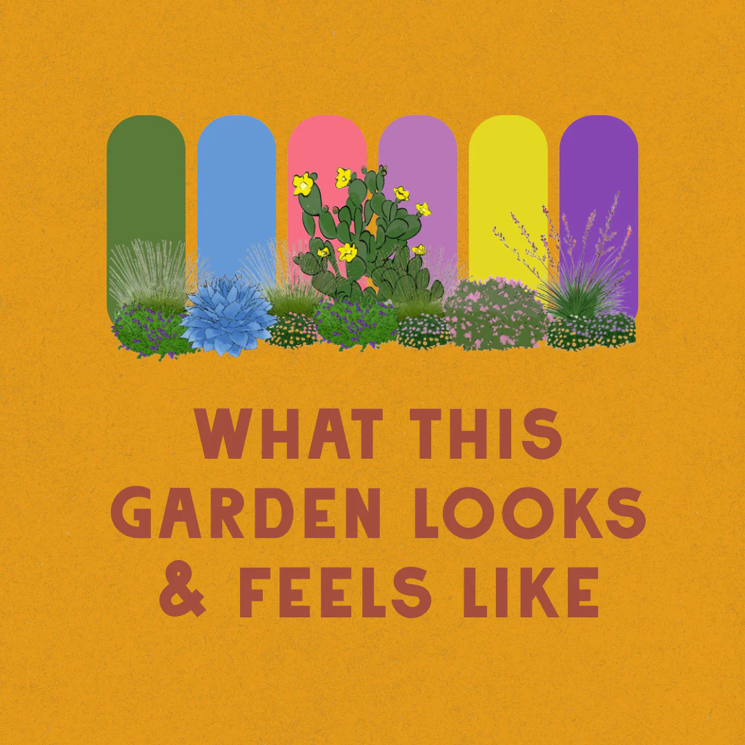 Desert Blooms Garden Design - Image 3