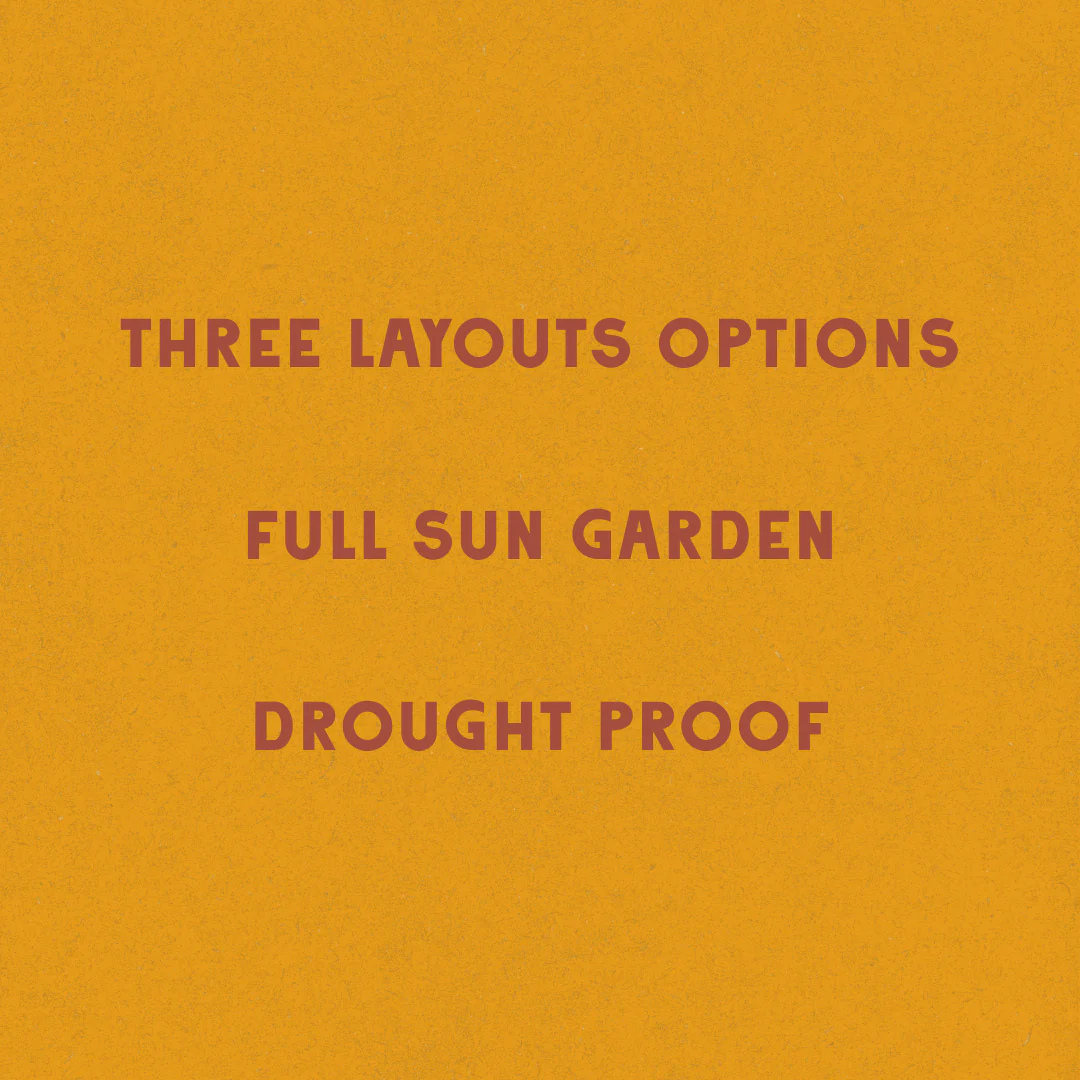 Desert Blooms Garden Design - Image 4