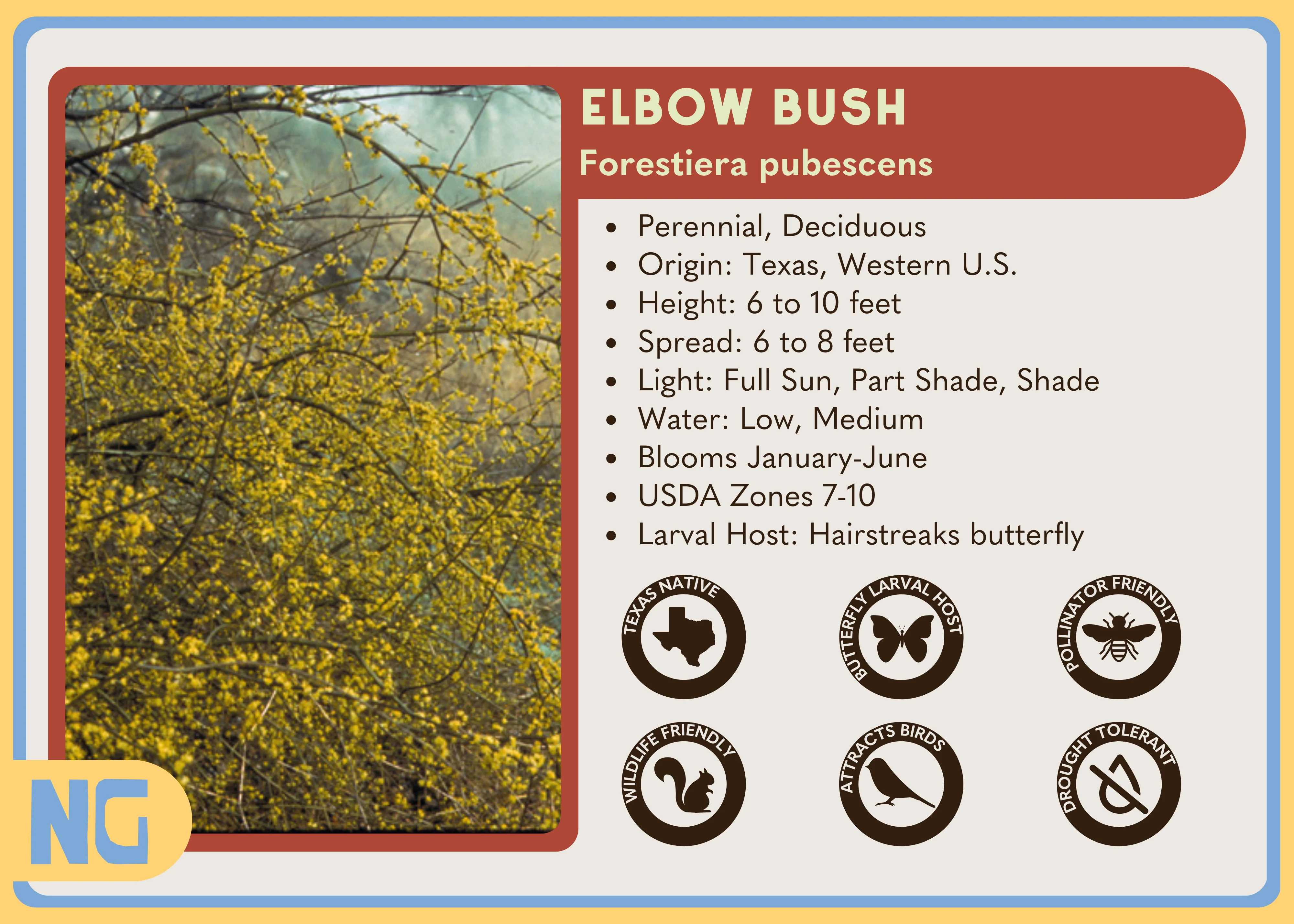 Elbow Bush - Image 4