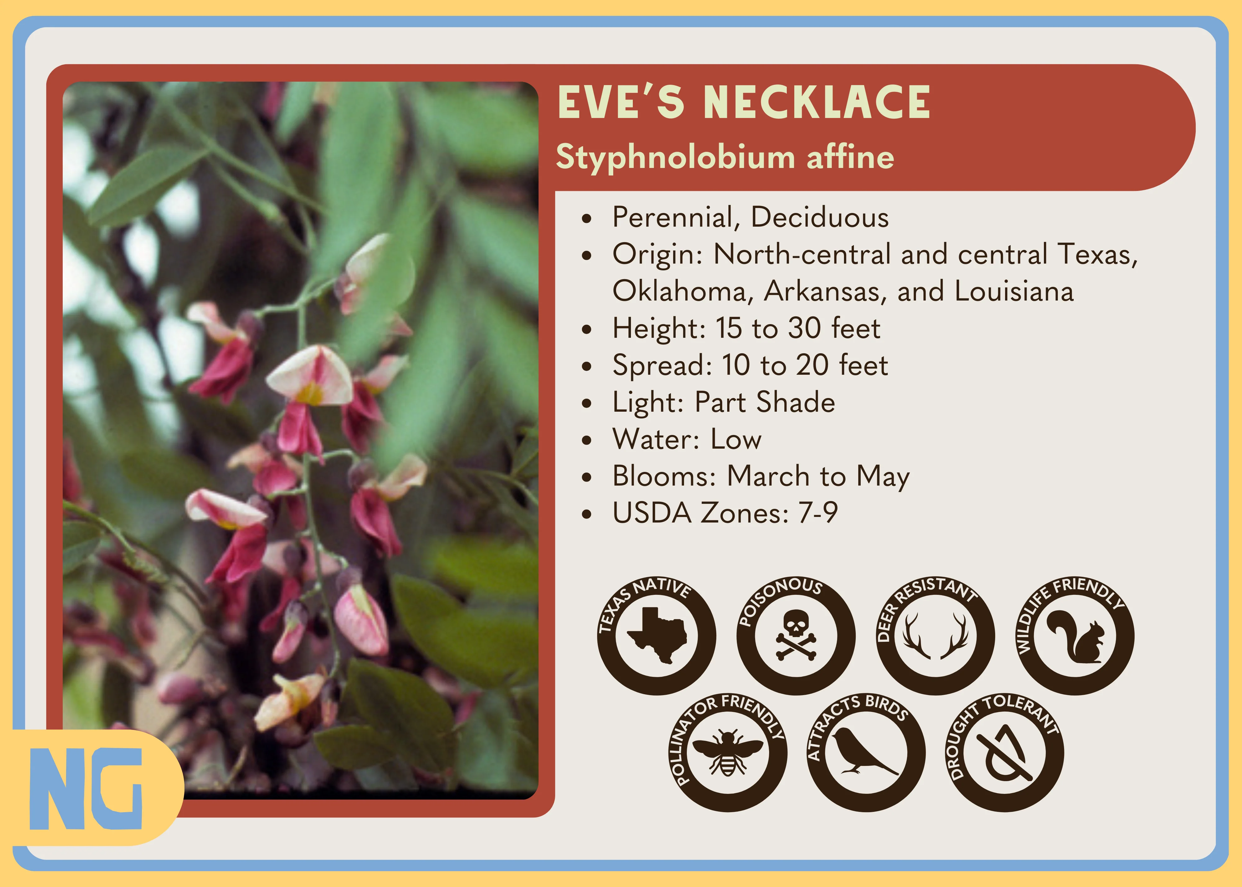 Eve's Necklace - Image 4