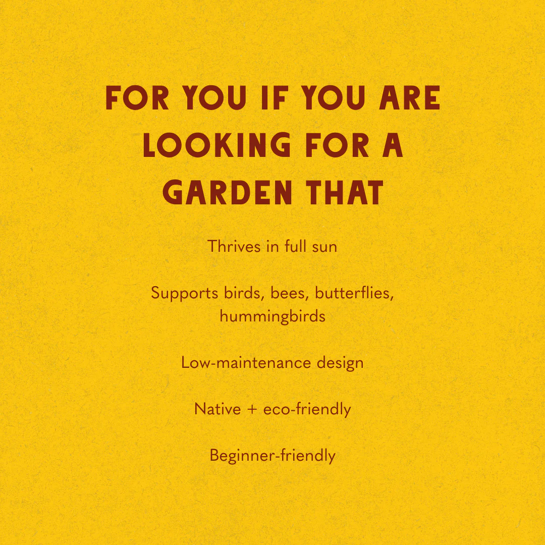 Full Sun Garden Recipes - Image 13