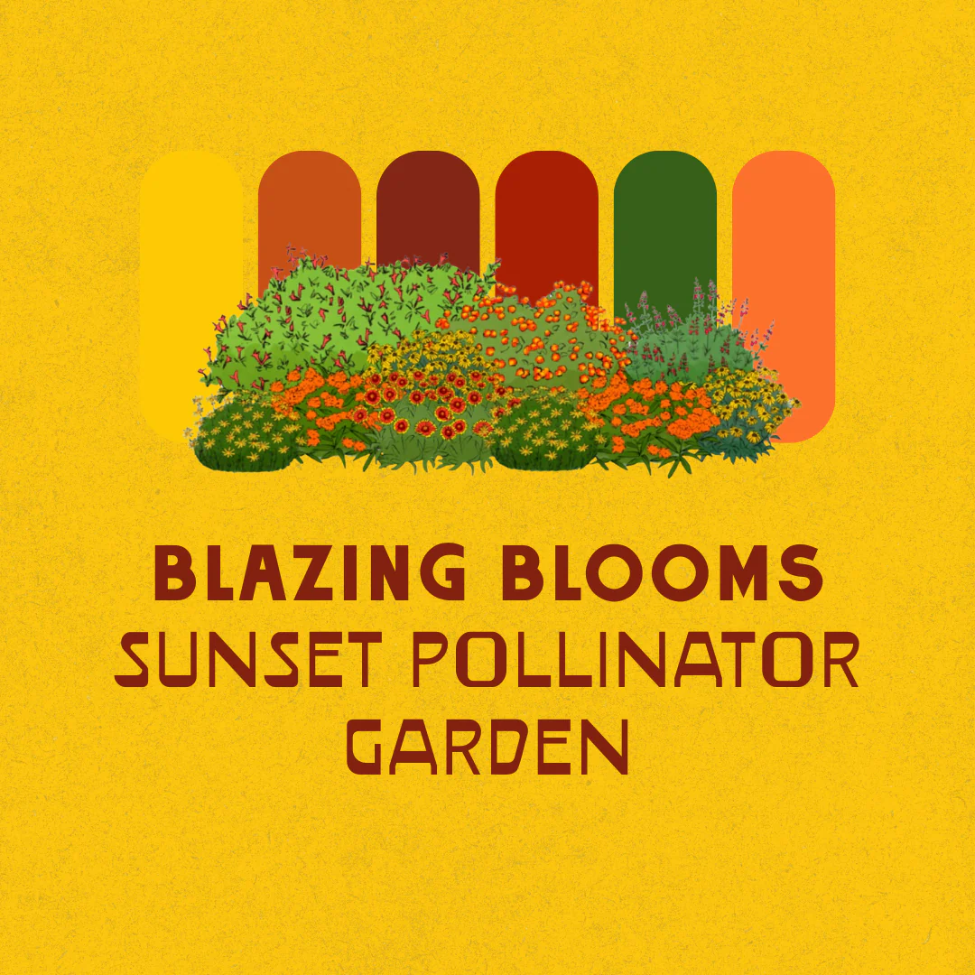 Full Sun Garden Recipes - Image 3