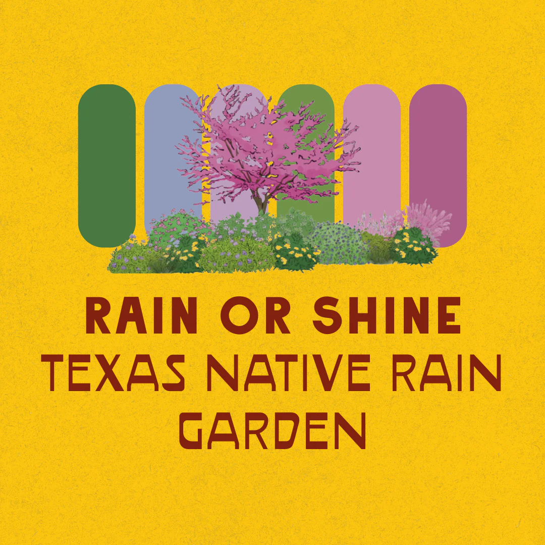 Full Sun Garden Recipes - Image 6