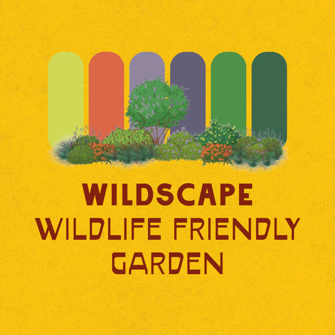 Full Sun Garden Recipes - Image 8