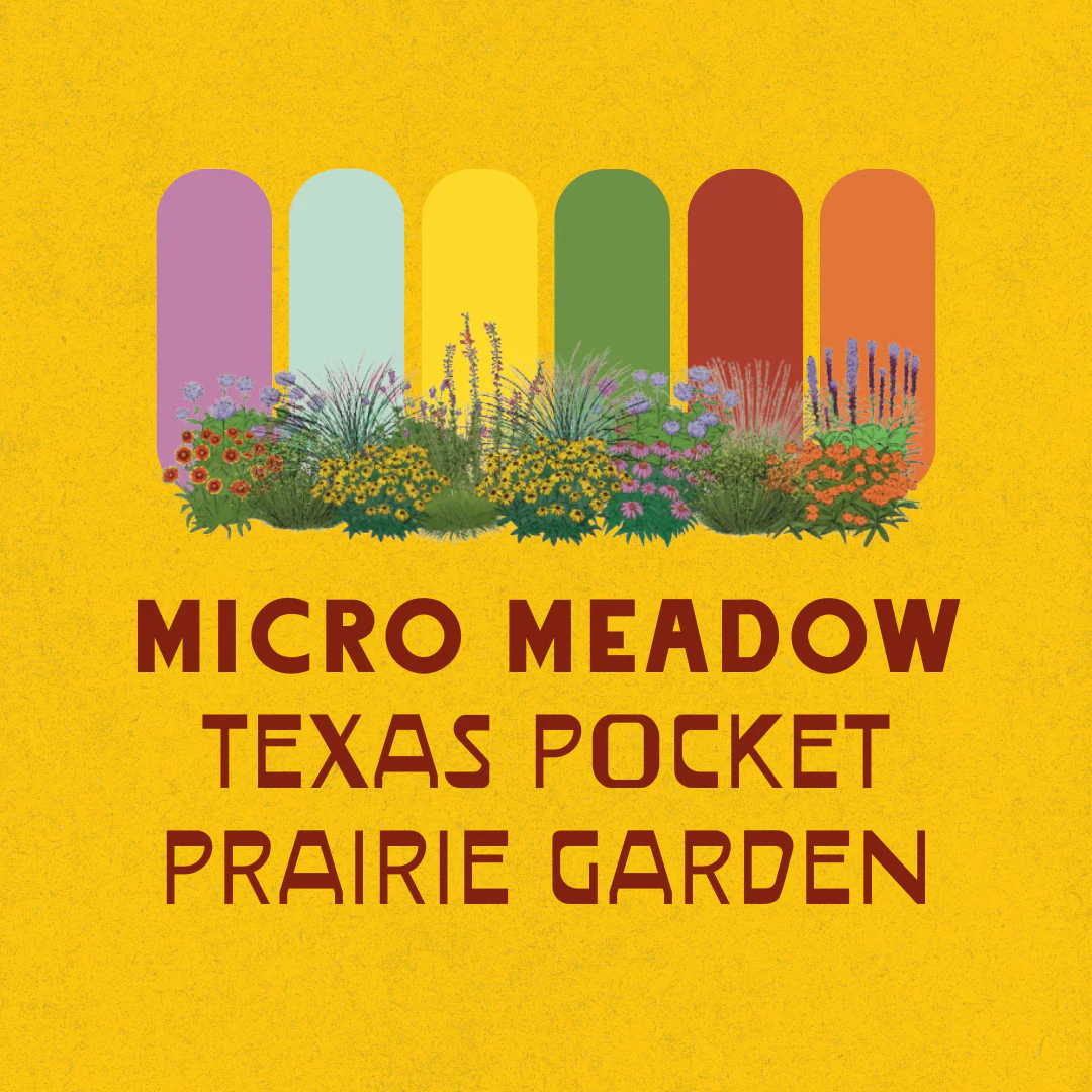 Full Sun Garden Recipes - Image 9
