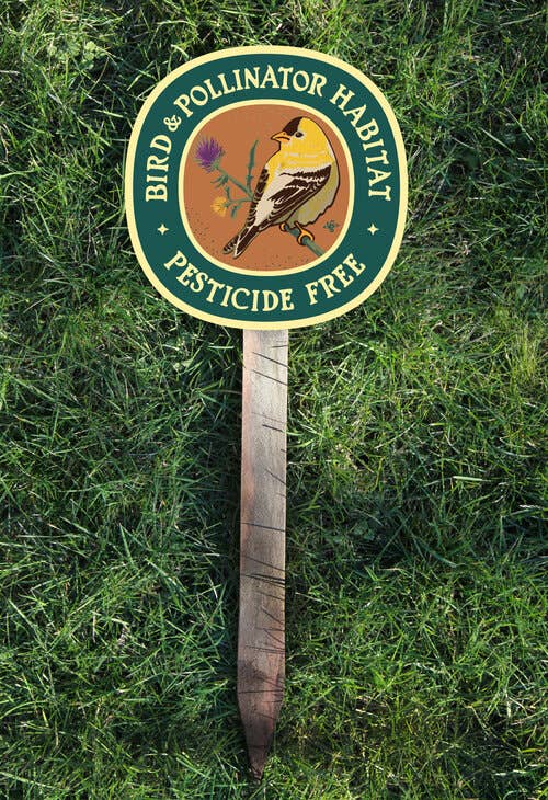 Goldfinch Bird & Pollinator Habitat - Pesticide Free Garden - Image 4