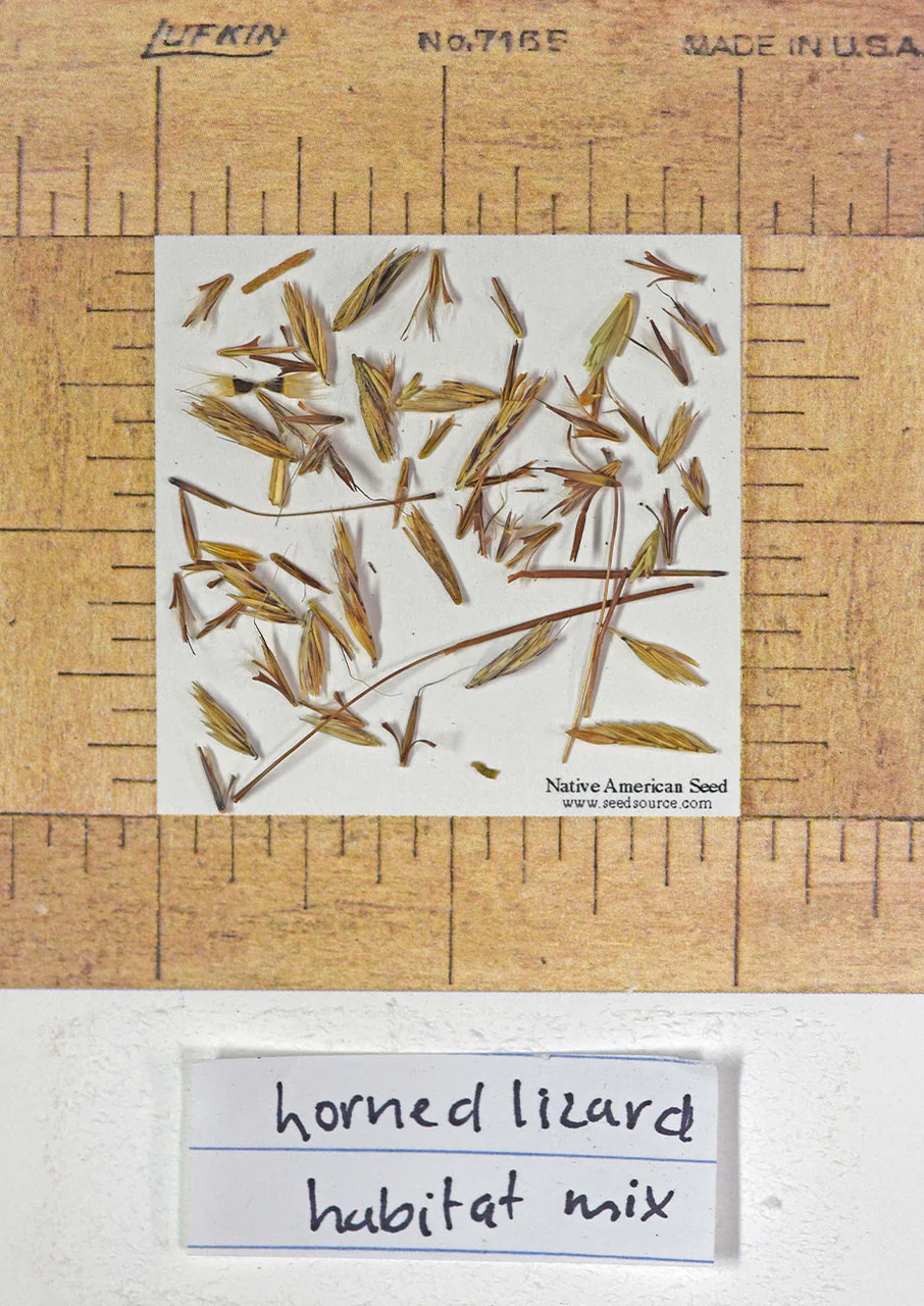 Horned Lizard Habitat Mix - Image 6