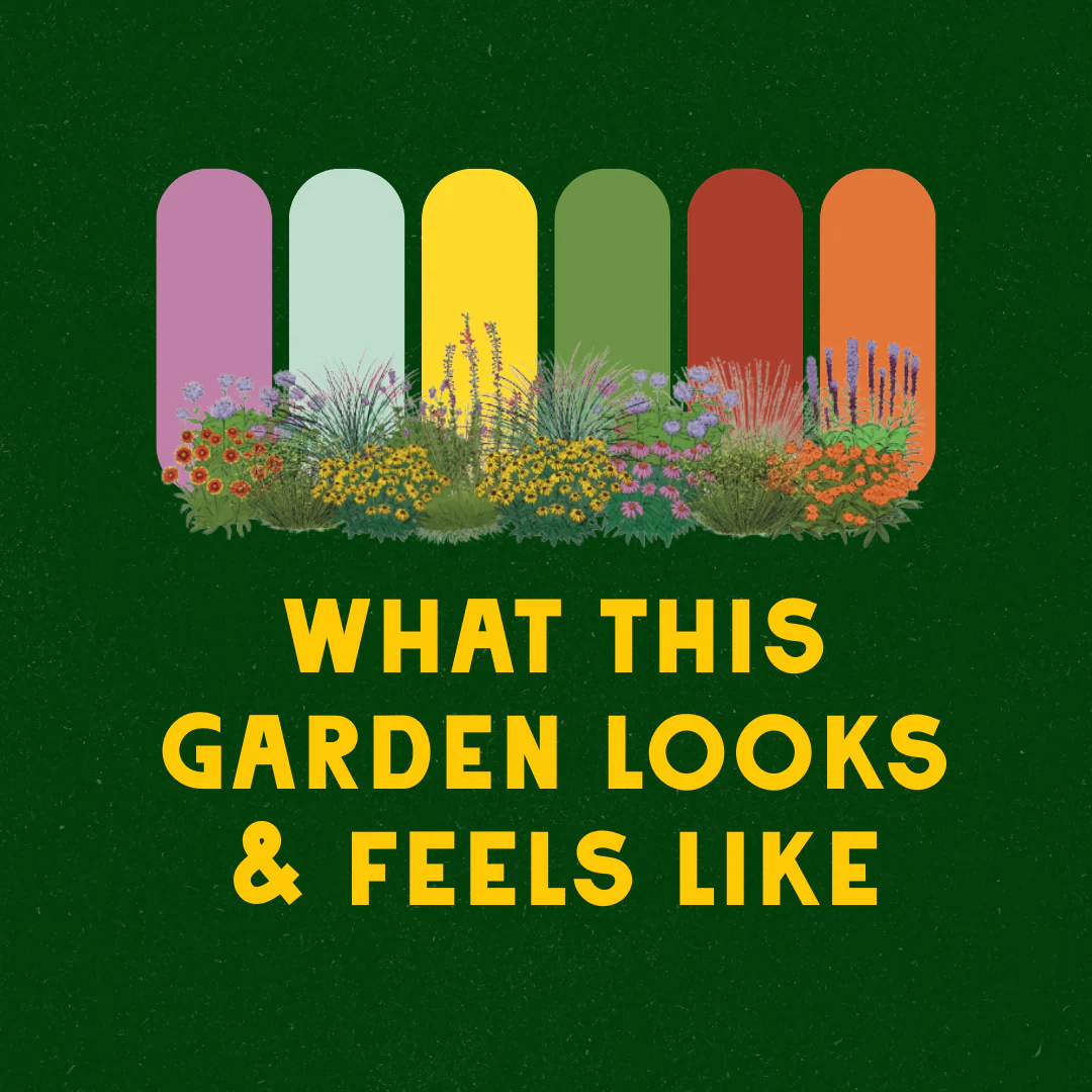 Micro Meadow Garden Design - Image 3