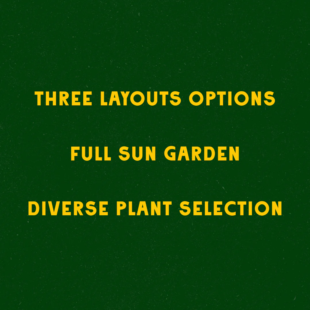 Micro Meadow Garden Design - Image 4