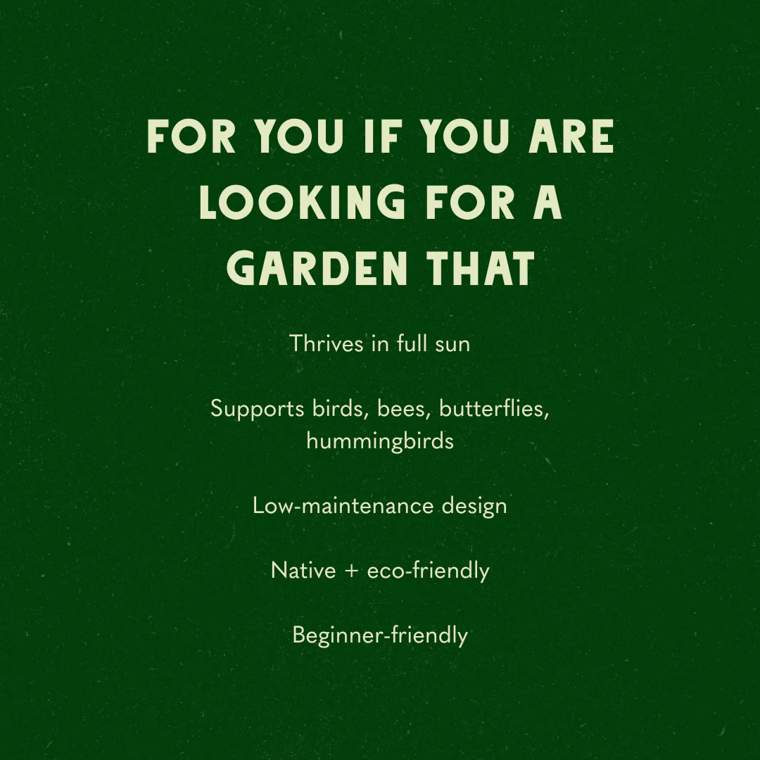 Micro Meadow Garden Design - Image 5