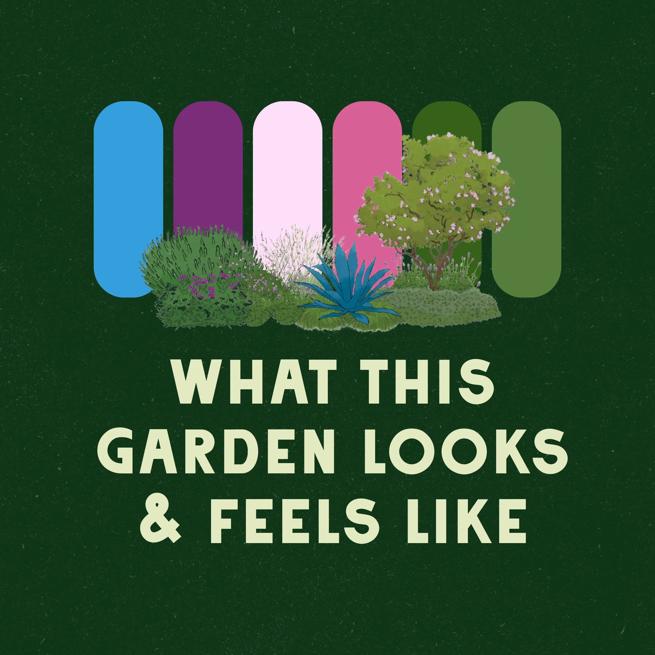 Midcentury Inspired Garden Design - Image 3