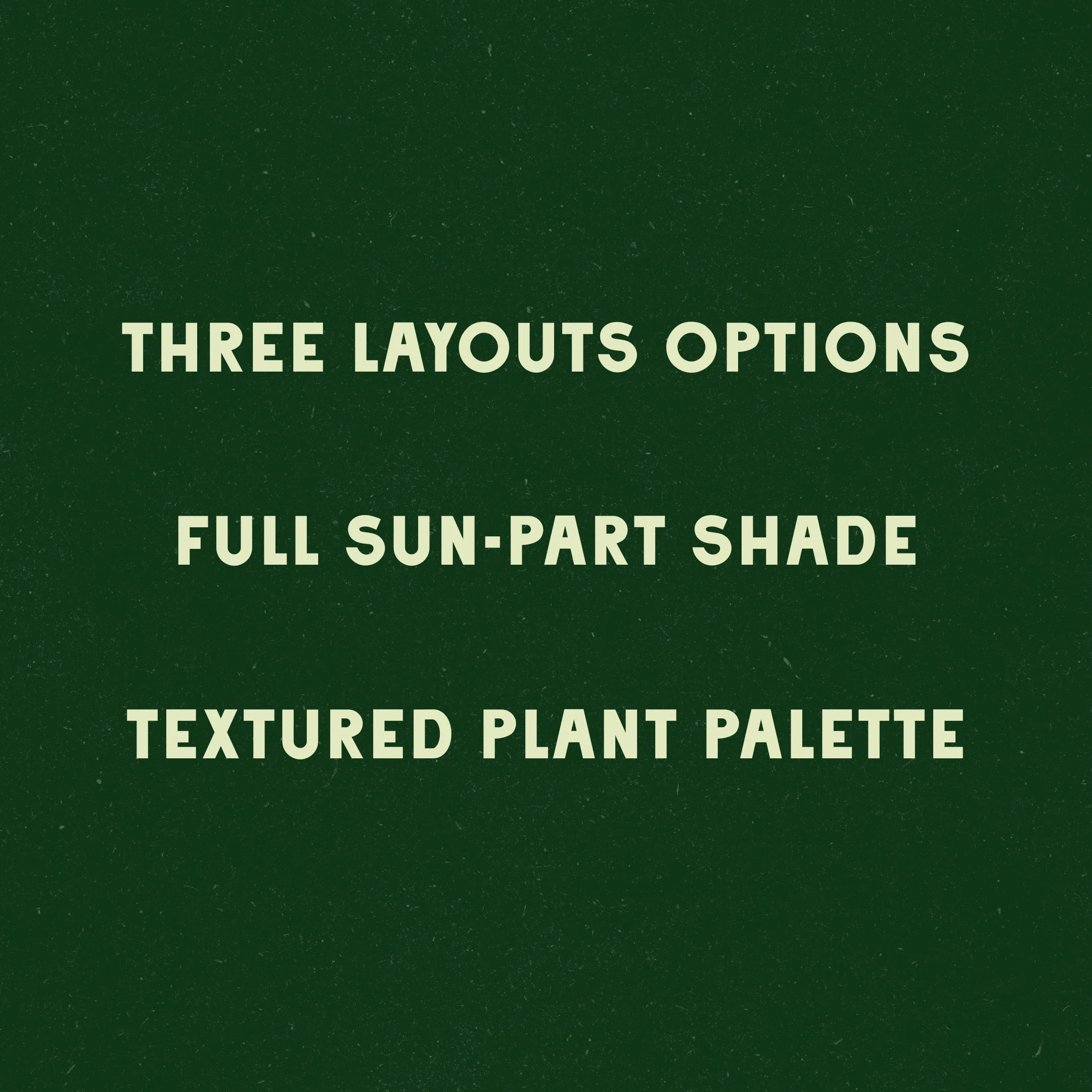 Midcentury Inspired Garden Design - Image 4