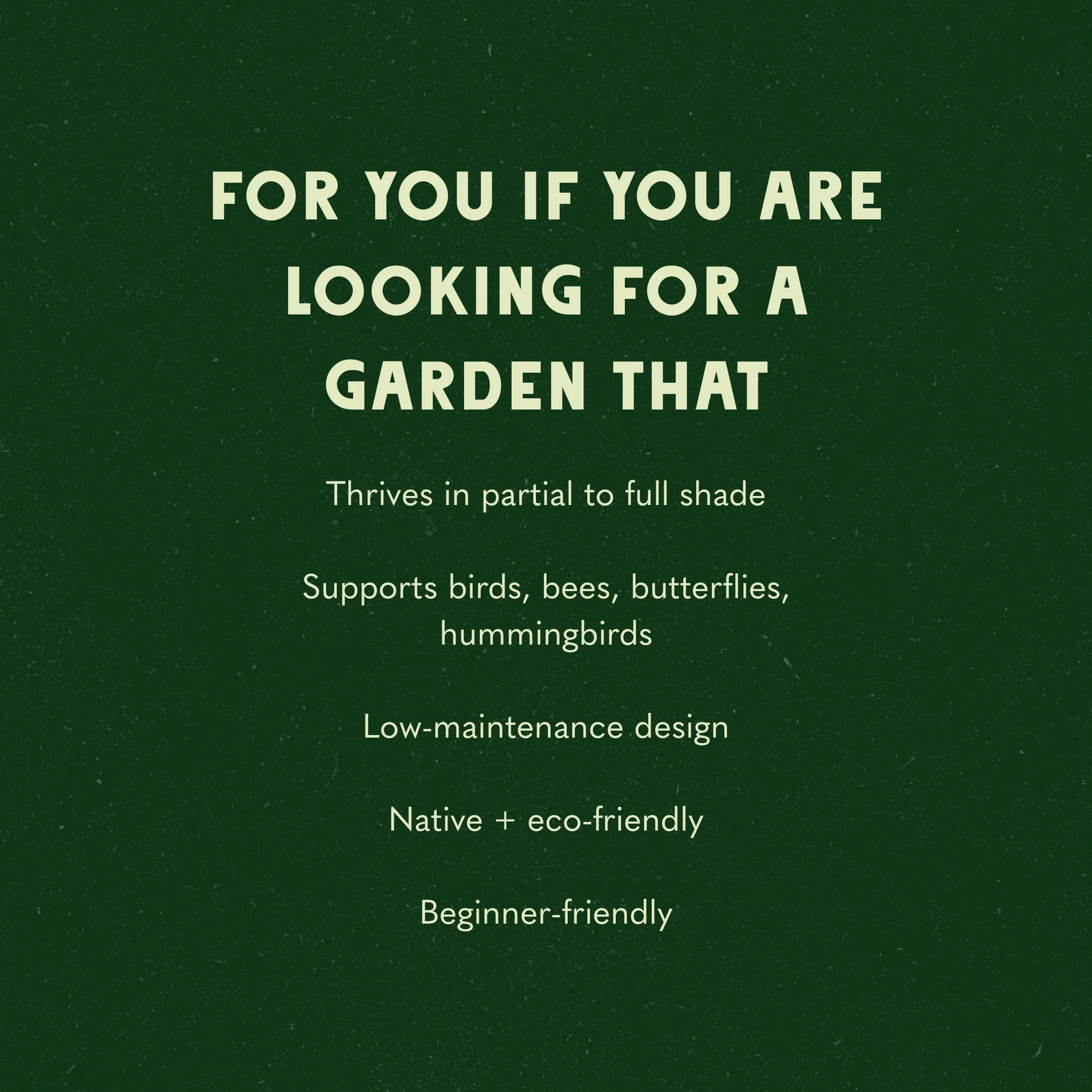 Midcentury Inspired Garden Design - Image 5