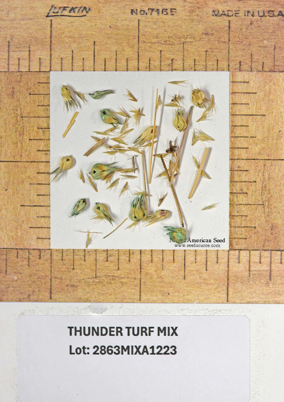 Thunder Turf - Image 11
