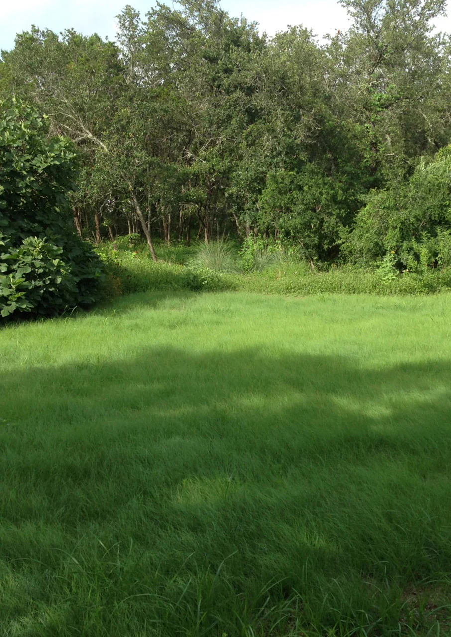 Thunder Turf - Image 3