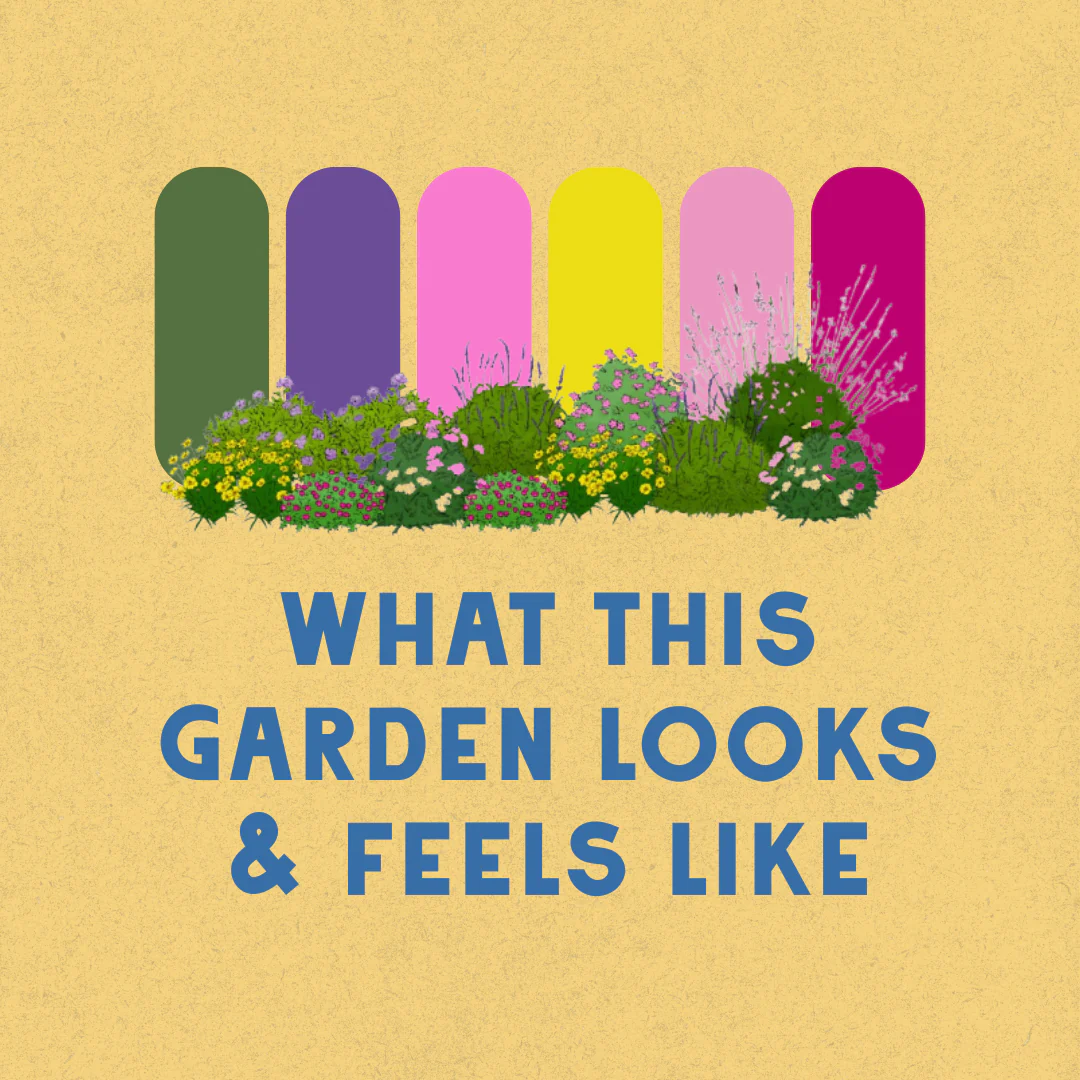 Pollinator Pastels Garden Design - Image 3