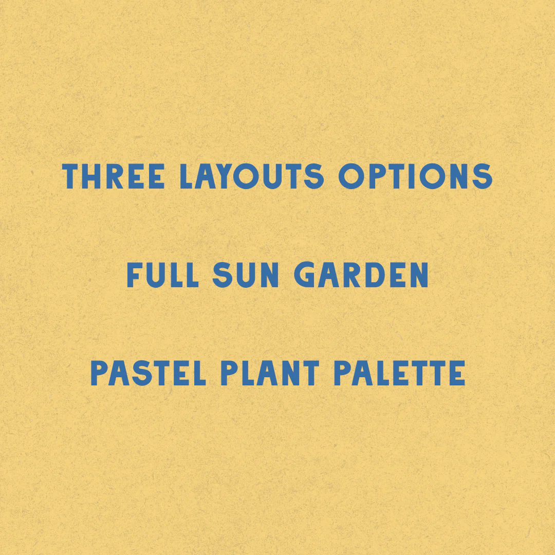 Pollinator Pastels Garden Design - Image 4
