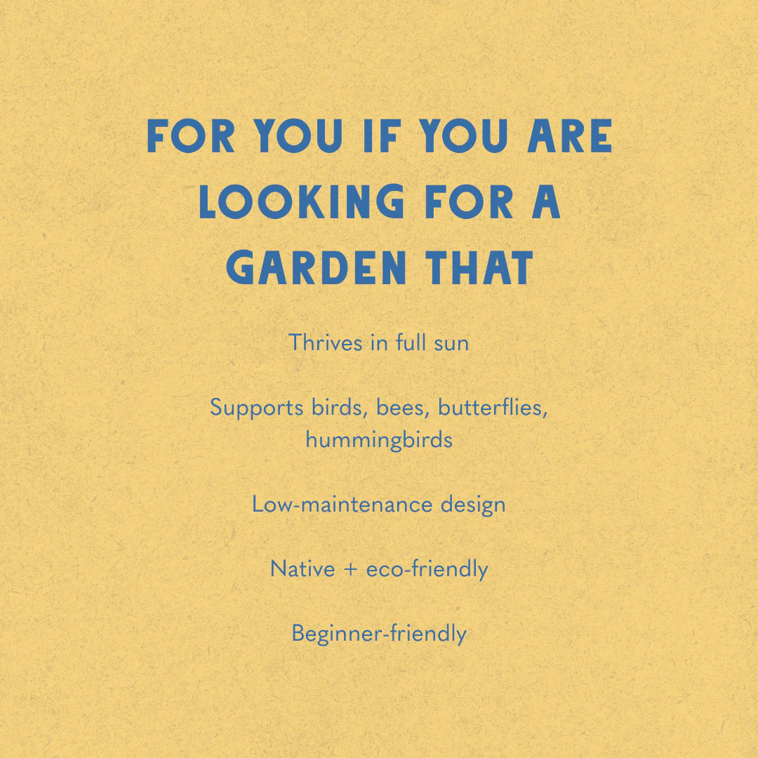 Pollinator Pastels Garden Design - Image 5
