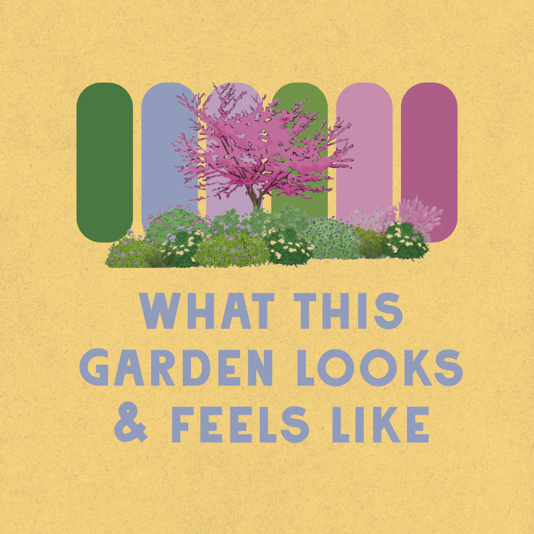 Rain or Shine Garden Design - Image 3