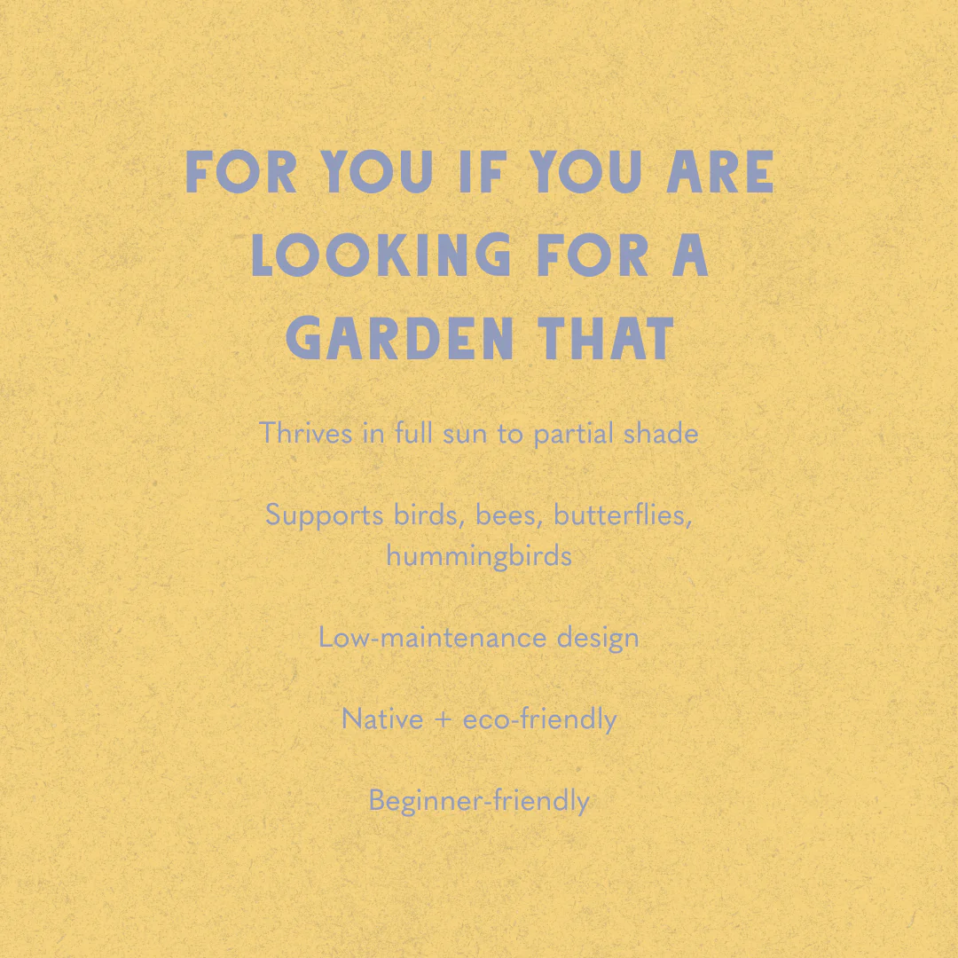 Rain or Shine Garden Design - Image 5