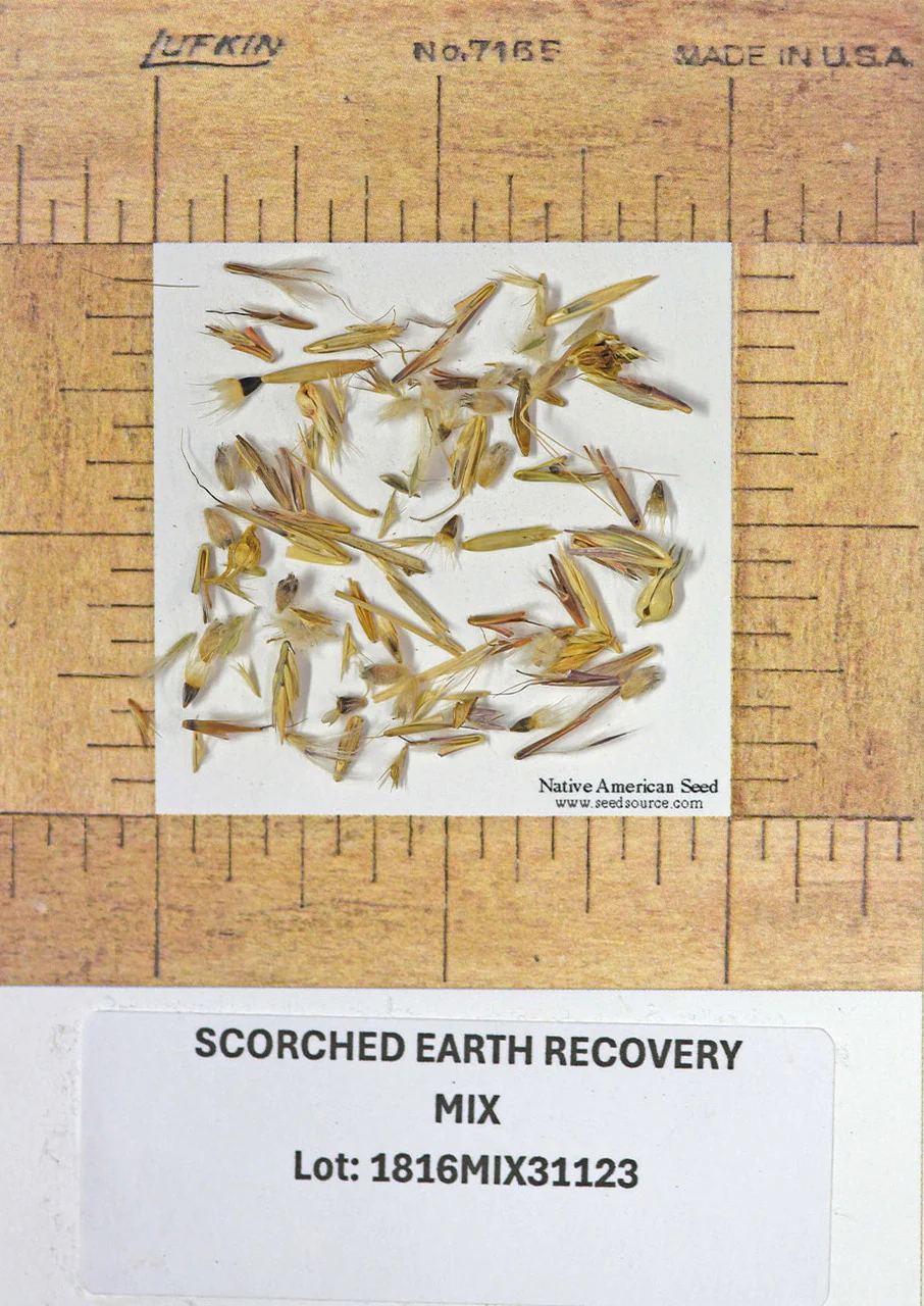 Scorched Earth Recovery Mix - Image 8