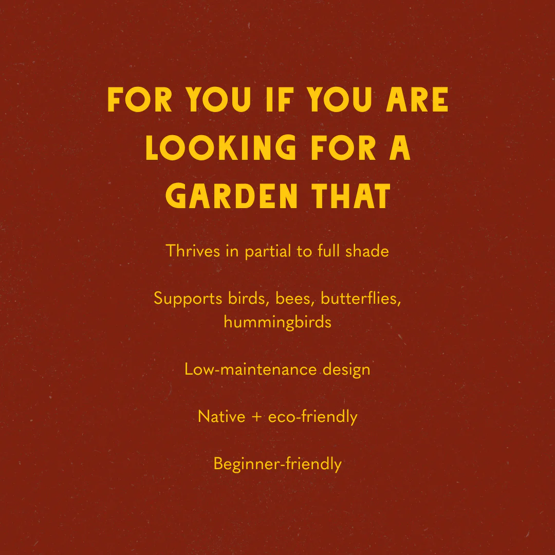 Shaded Garden Recipes - Image 10