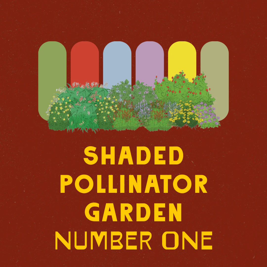 Shaded Garden Recipes - Image 3