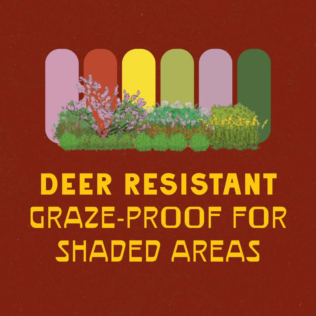 Shaded Garden Recipes - Image 6