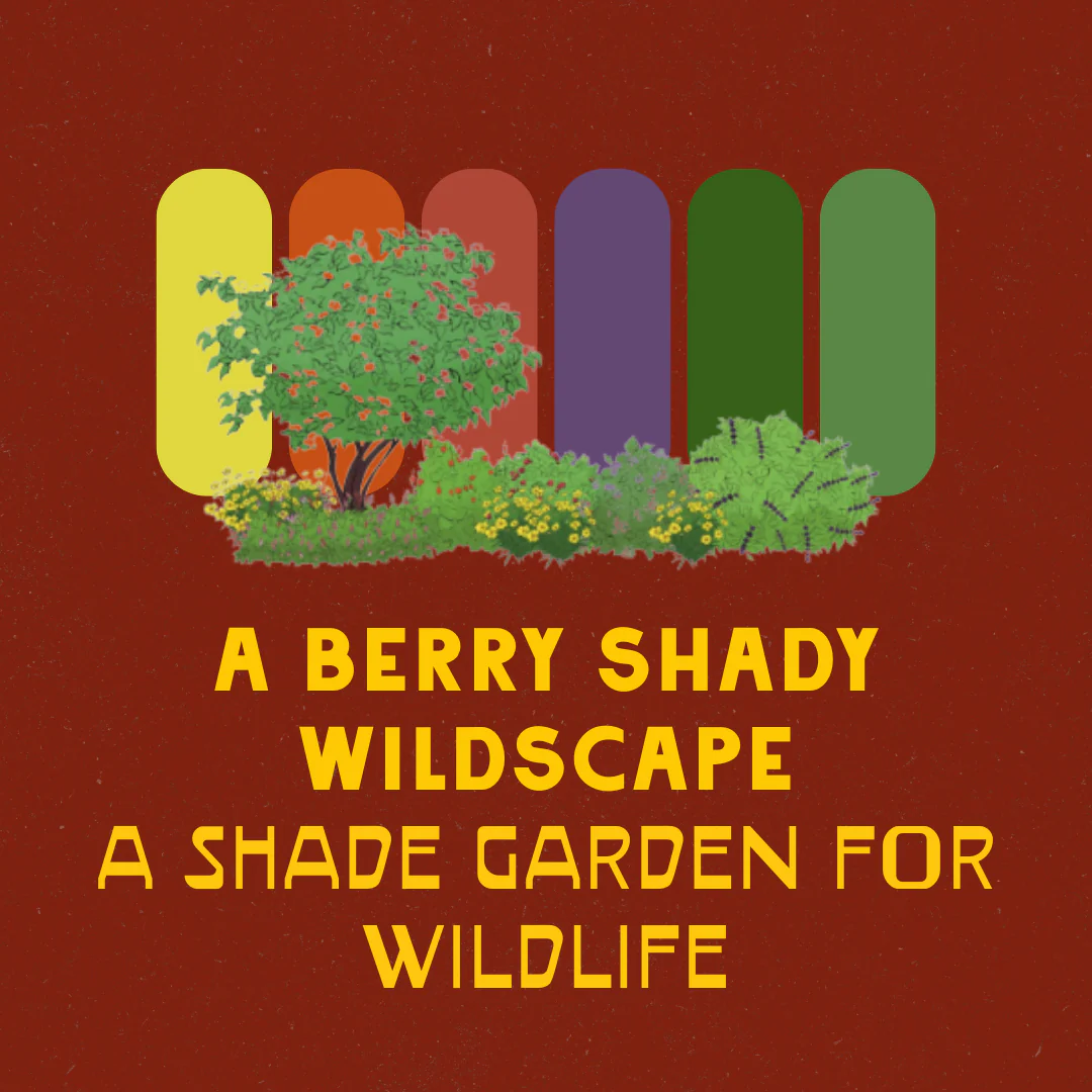 Shaded Garden Recipes - Image 7