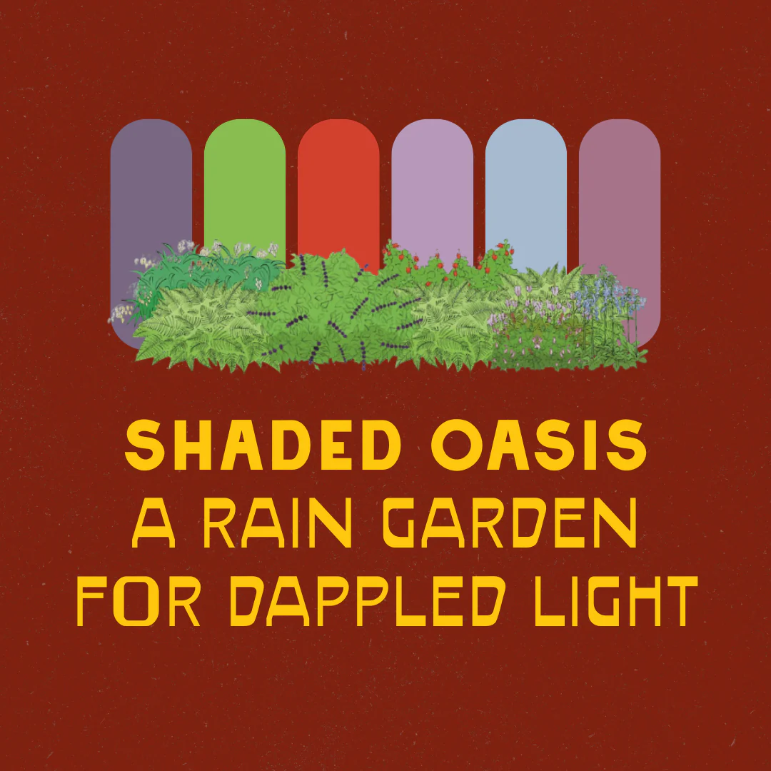 Shaded Garden Recipes - Image 8
