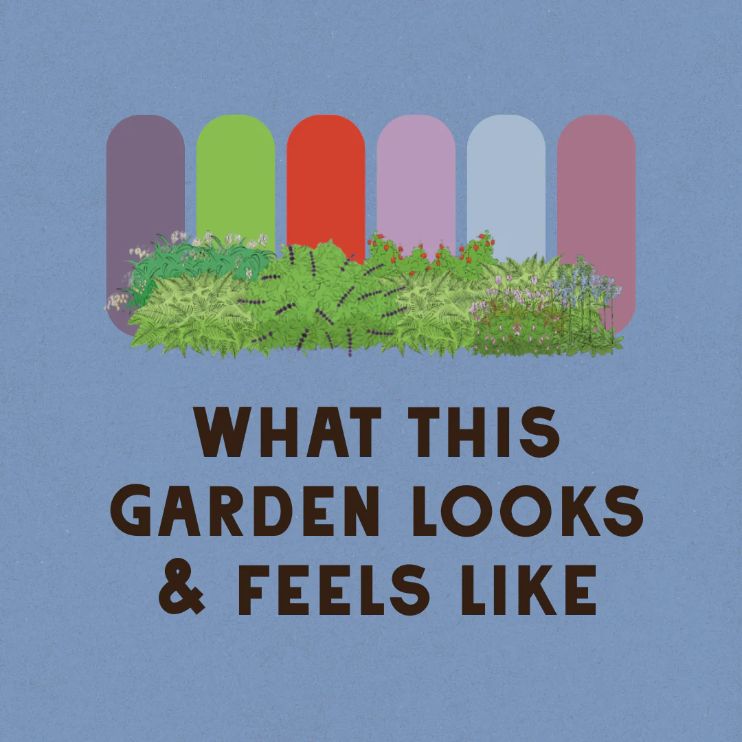 Shaded Oasis Garden Design - Image 3