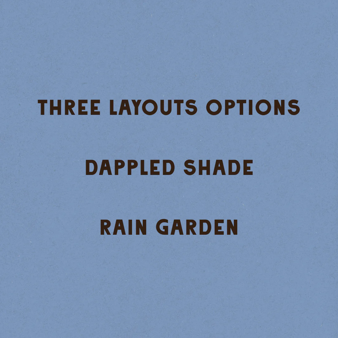 Shaded Oasis Garden Design - Image 4
