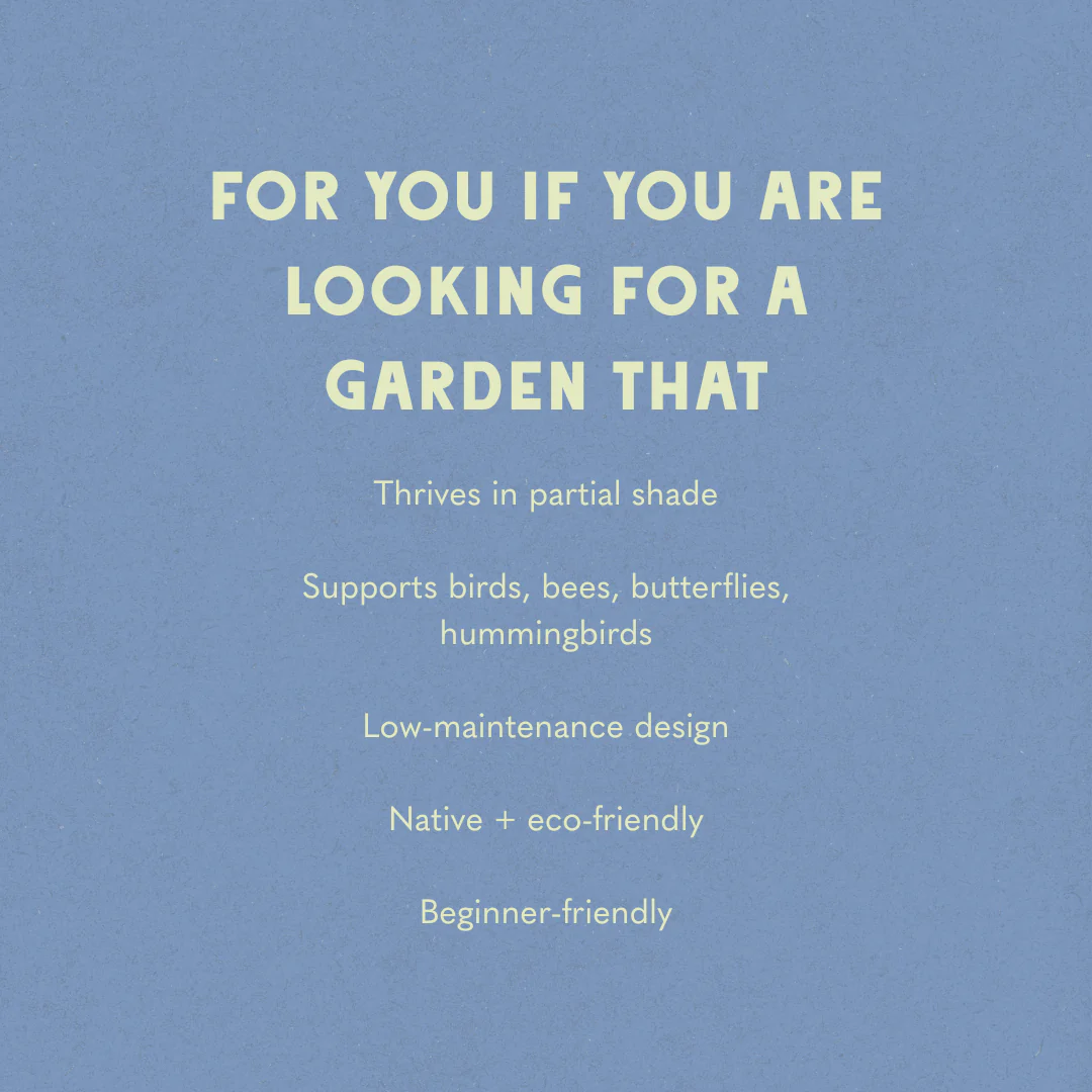 Shaded Oasis Garden Design - Image 5